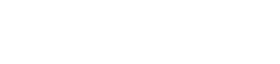 essaywritingnz